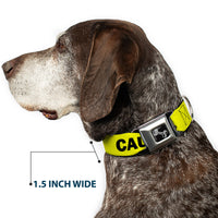 Dog Bone Black/Silver Seatbelt Buckle Collar - Pet Quote CAUTION I BITE/Dog Growl Yellow/Black