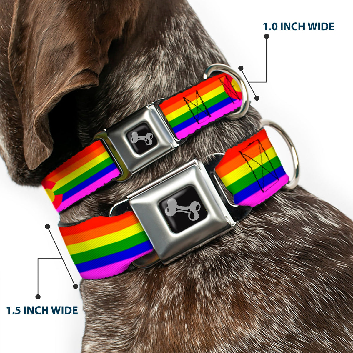 Dog Bone Seatbelt Buckle Collar - Colorado Flags2 Pride
