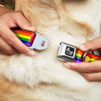 Dog Bone Seatbelt Buckle Collar - Colorado Flags2 Pride
