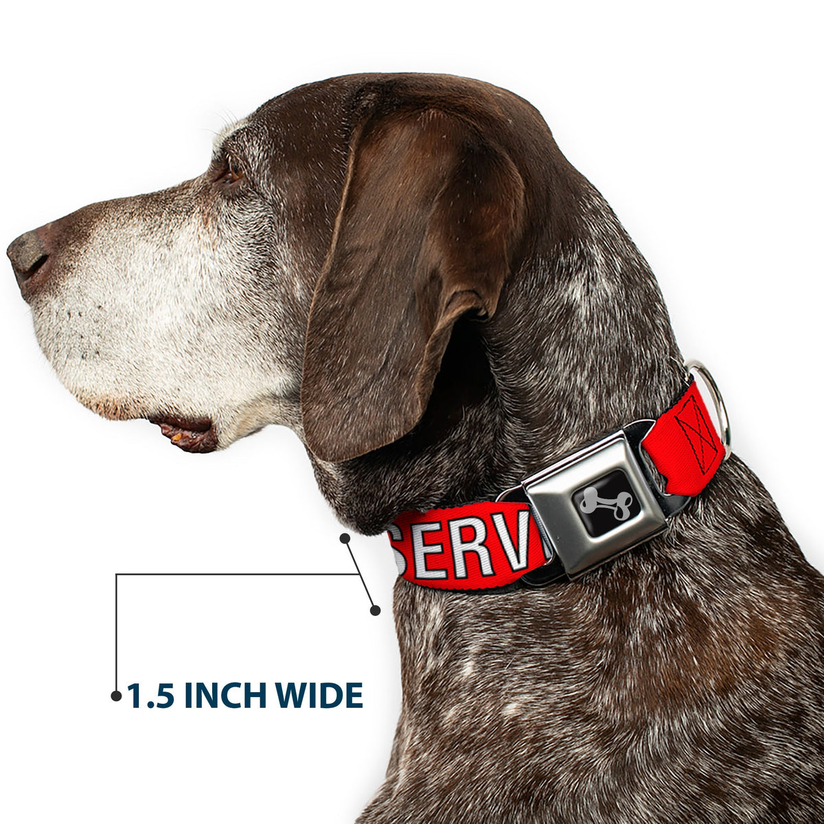 Dog Bone Black/Silver Seatbelt Buckle Collar - SERVICE DOG Red/Black/White