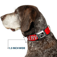 Dog Bone Black/Silver Seatbelt Buckle Collar - SERVICE DOG Red/Black/White