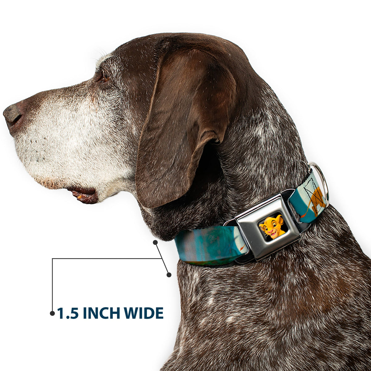 Simba2 CLOSE-UP Full Color Seatbelt Buckle Collar - Lion King Simba, Pumba & Timon Growing Up