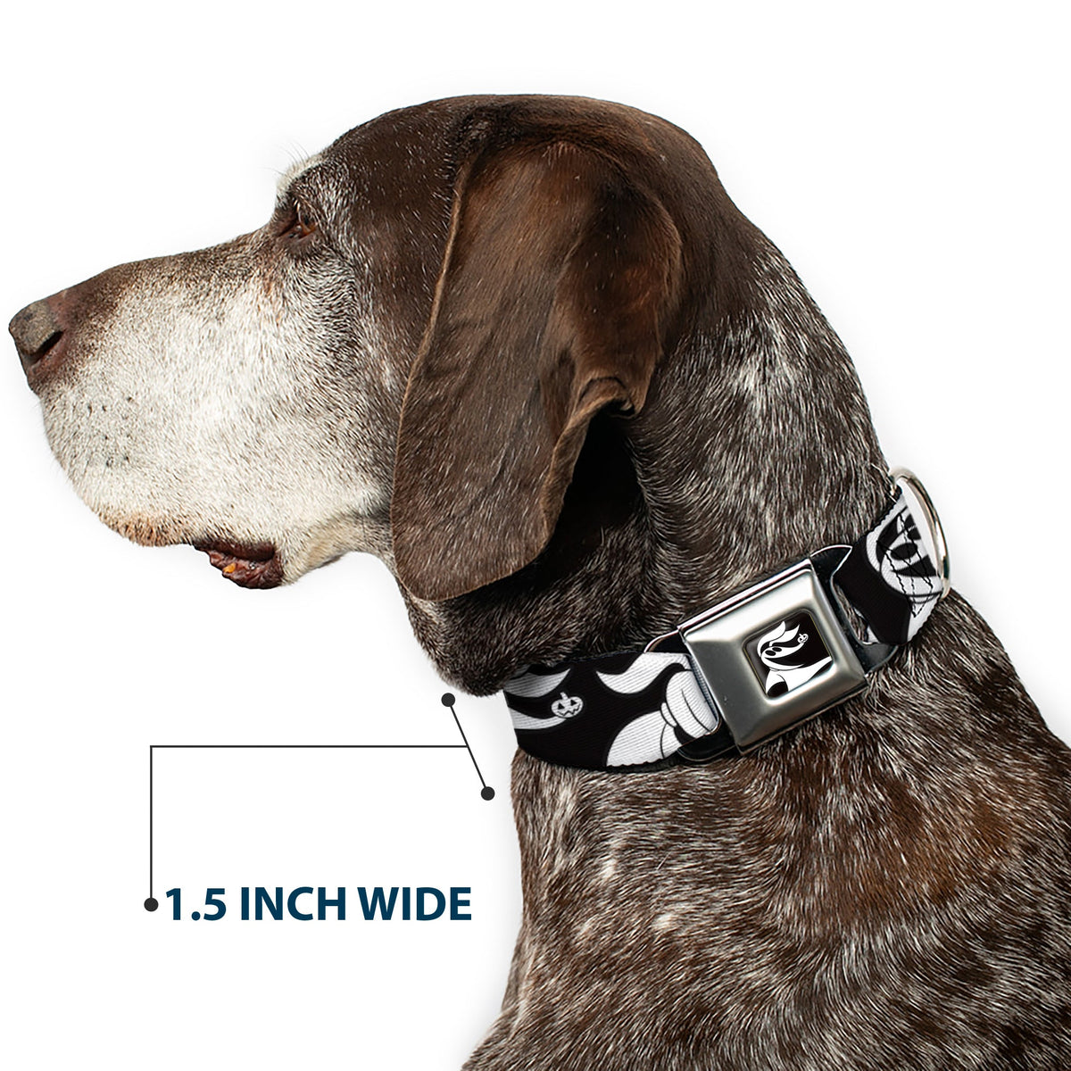Nightmare Before Christmas Zero Smiling Full Color Black/White Seatbelt Buckle Collar - Nightmare Before Christmas Zero Expressions Black/White