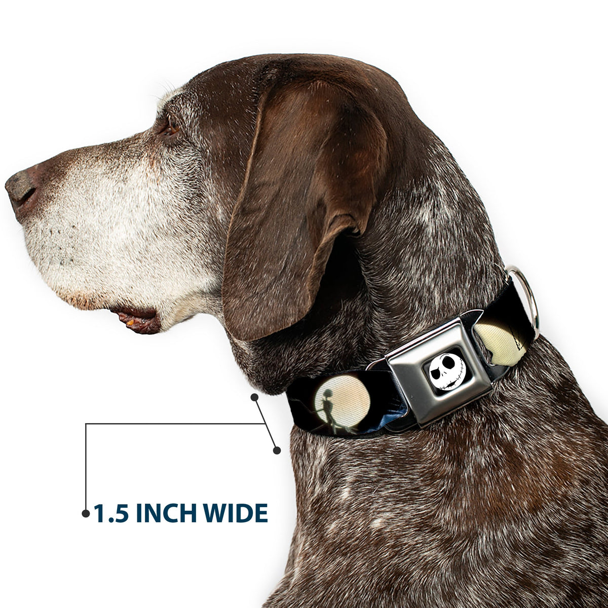 Jack Expression2 Full Color Seatbelt Buckle Collar - NBC Jack & Sally Moon Scenes