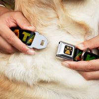 Lion King Paw Full Color Black Gold Seatbelt Buckle Collar - HAKUNA MATATA Black/Lion King Scenes