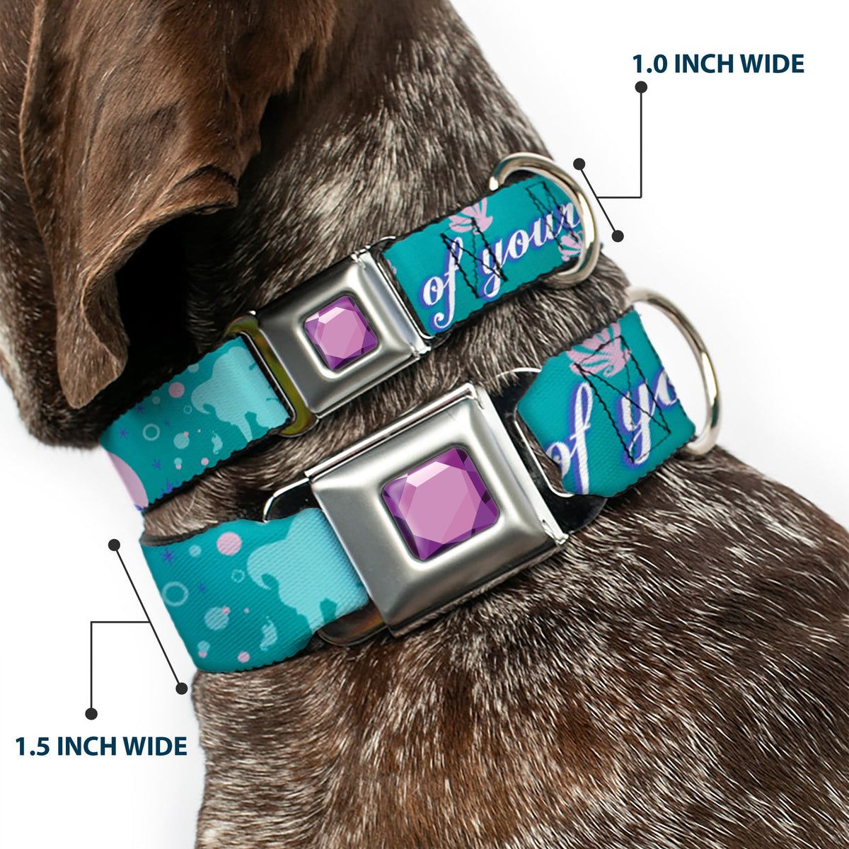 Princess Gem CLOSE-UP Full Color Purple Seatbelt Buckle Collar - Little Mermaid Silhouette Scenes PART OF YOUR WORLD Blues