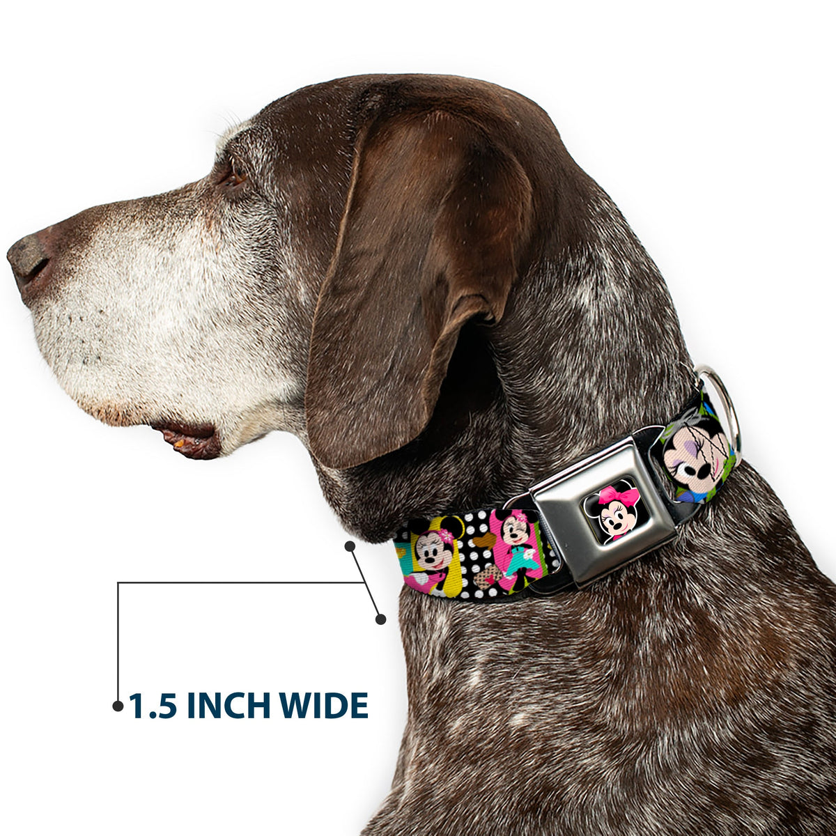 Mini Minnie Mouse Face CLOSE-UP Full Color Black Seatbelt Buckle Collar - Mini Minnie Fashion Poses/Polka Dot Black/White/Multi Color