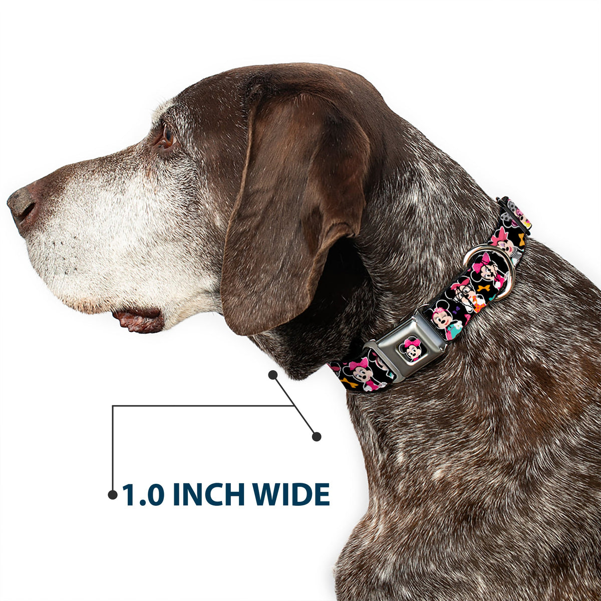 Mini Minnie Mouse Face CLOSE-UP Full Color Black Seatbelt Buckle Collar - Mini Minnie Expressions/Bows Black/Multi Color