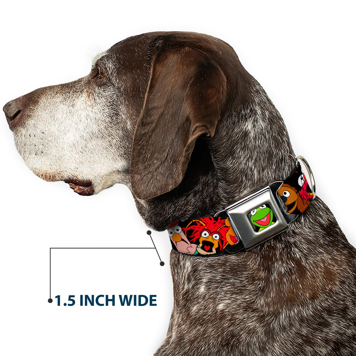 Kermit Face Full Color Black Seatbelt Buckle Collar - Muppets Faces Black