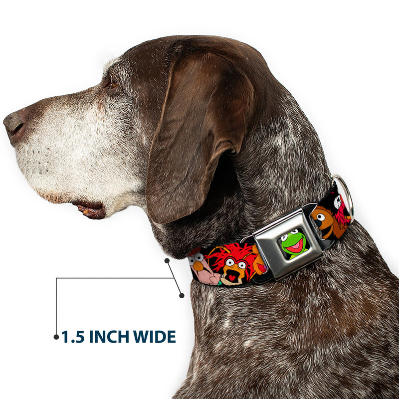 Kermit Face Full Color Black Seatbelt Buckle Collar - Muppets Faces Black