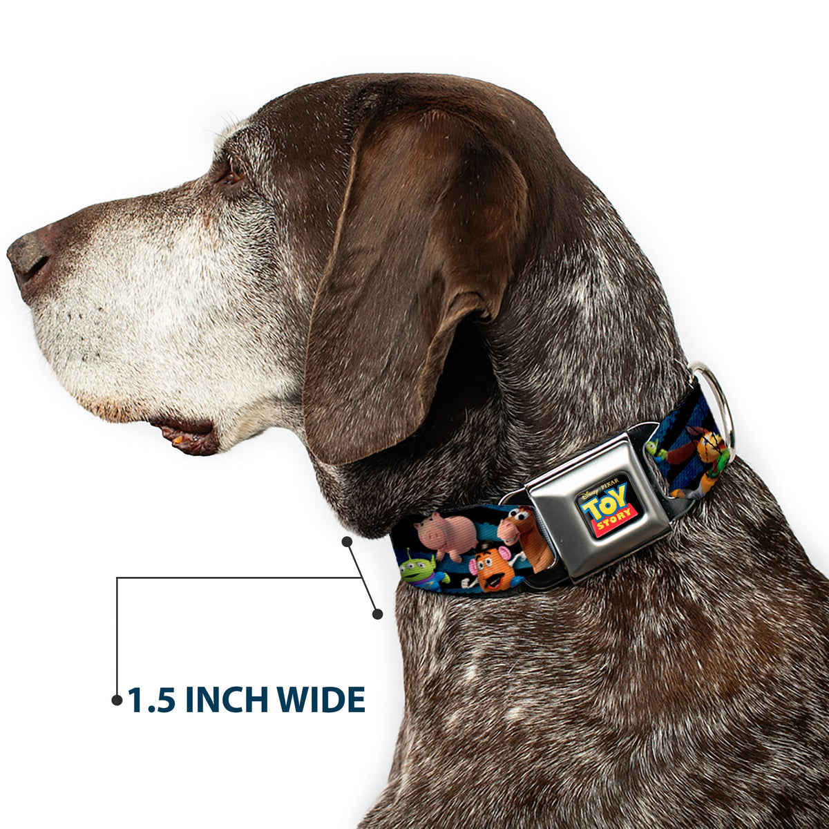 TOY STORY Logo Full Color Black Seatbelt Buckle Collar - Toy Story Characters Running Denim Rays