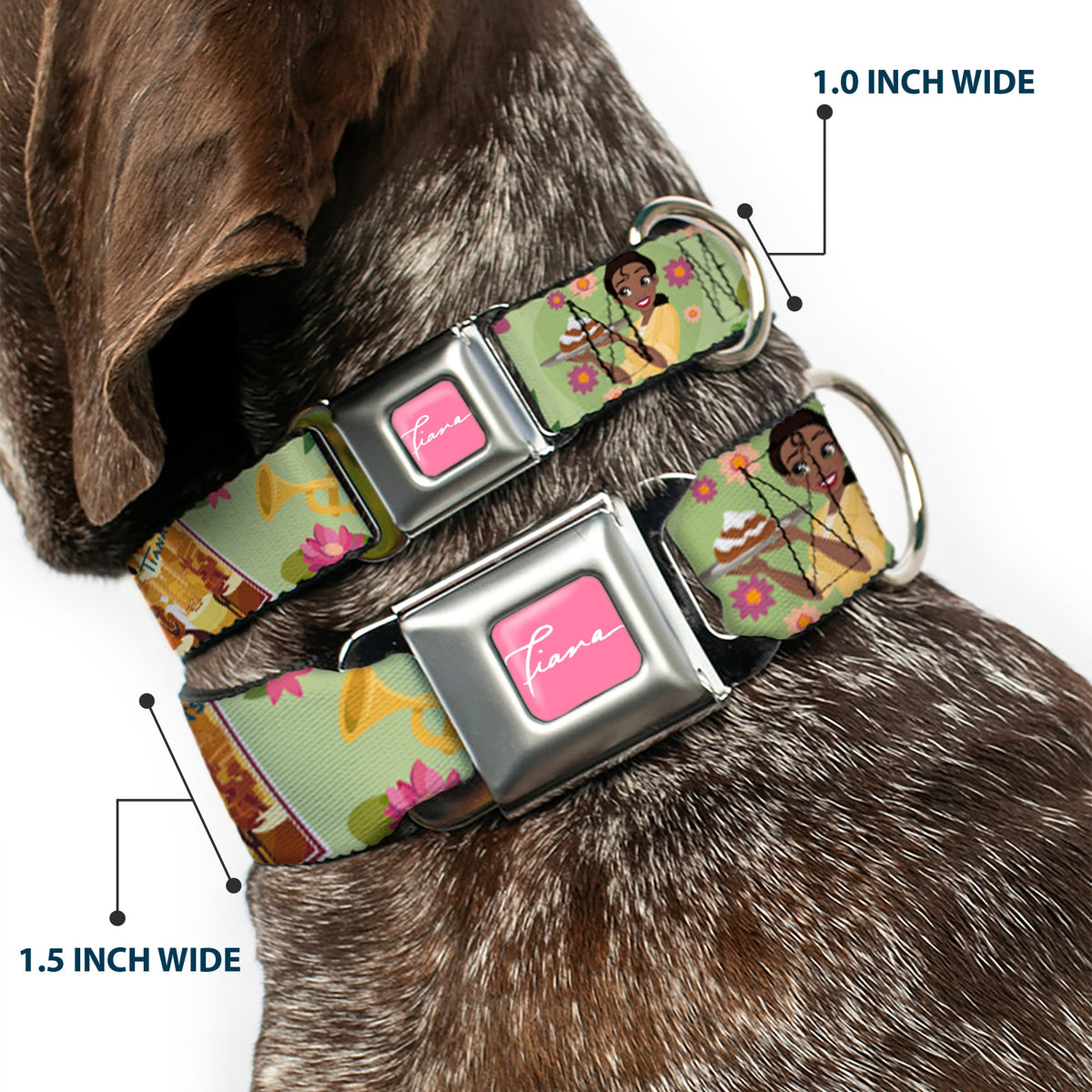 The Princess and the Frog TIANA Script Full Color Pink/White Seatbelt Buckle Collar - The Princess and the Frog Tiana's Place Collage Greens/Pinks