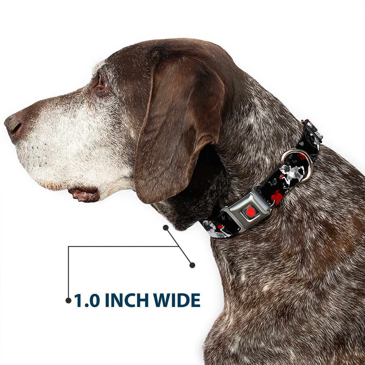 Apple Glow Full Color Black Red Seatbelt Buckle Collar - SNOW WHITE Apple Poses/Butterflies Black/Gray/Red