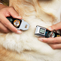 CHIP & DALE Text Logo Full Color Black/Gray Seatbelt Buckle Collar - CHIP & DALE Expression Bubbles Black/Multi Color