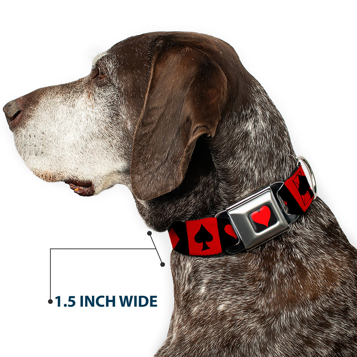 Alice in Wonderland Heart Full Color Black/Red Seatbelt Buckle Collar - Alice in Wonderland Card Suits Red/Black