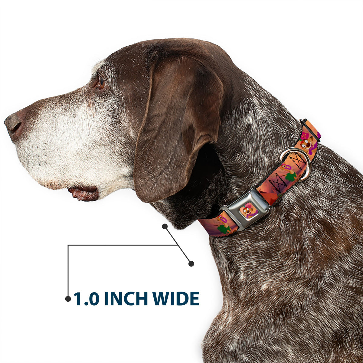 Timon Hula Pose Full Color Seatbelt Buckle Collar - Timon & Pumba The Hula Song Poses