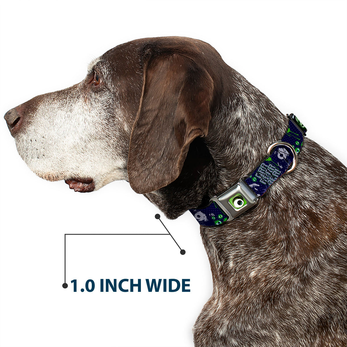 Monster Wide Eye Full Color Seatbelt Buckle Collar - Monsters University Sully & Mike Poses/GRRRRR!