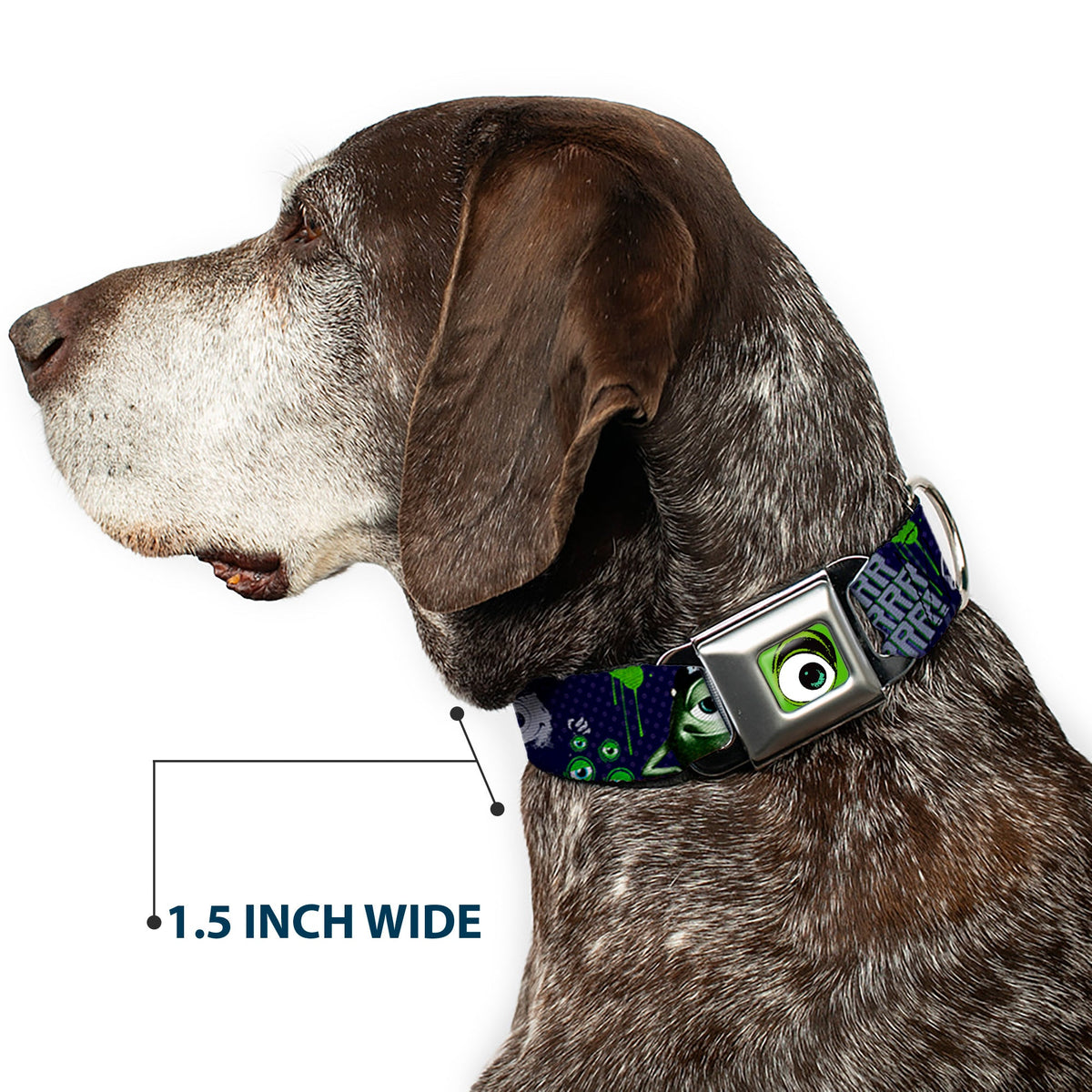 Monster Wide Eye Full Color Seatbelt Buckle Collar - Monsters University Sully & Mike Poses/GRRRRR!