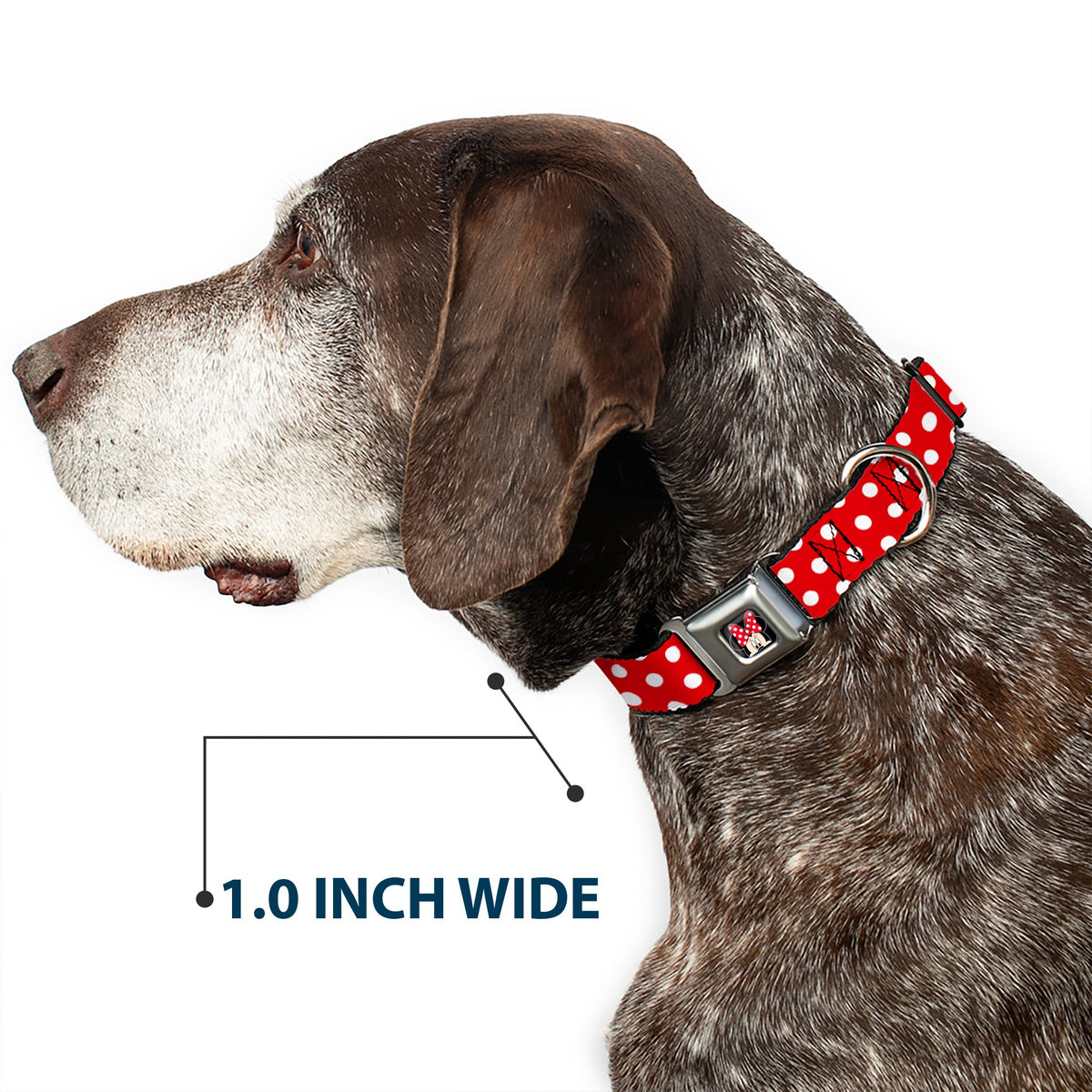 Minnie Mouse w Bow CLOSE-UP Full Color Black Red White Seatbelt Buckle Collar - Minnie Mouse Polka Dots Red/White