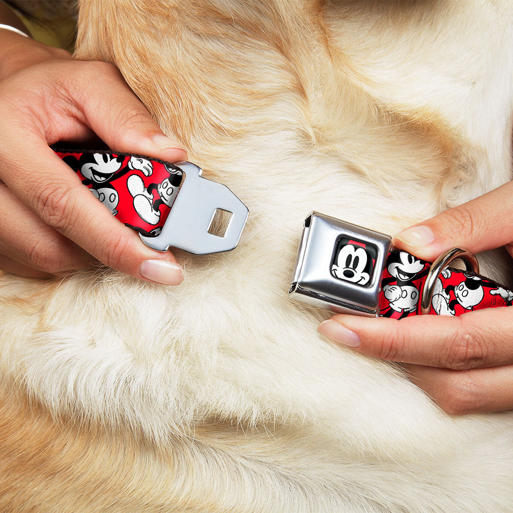 Mickey Mouse Face2 CLOSE-UP Full Color Red Black White Seatbelt Buckle Collar - Mickey Mouse Poses Scattered Red/Black/White