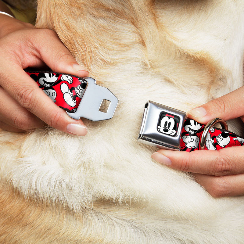 Mickey Mouse Face2 CLOSE-UP Full Color Red Black White Seatbelt Buckle Collar - Mickey Mouse Poses Scattered Red/Black/White