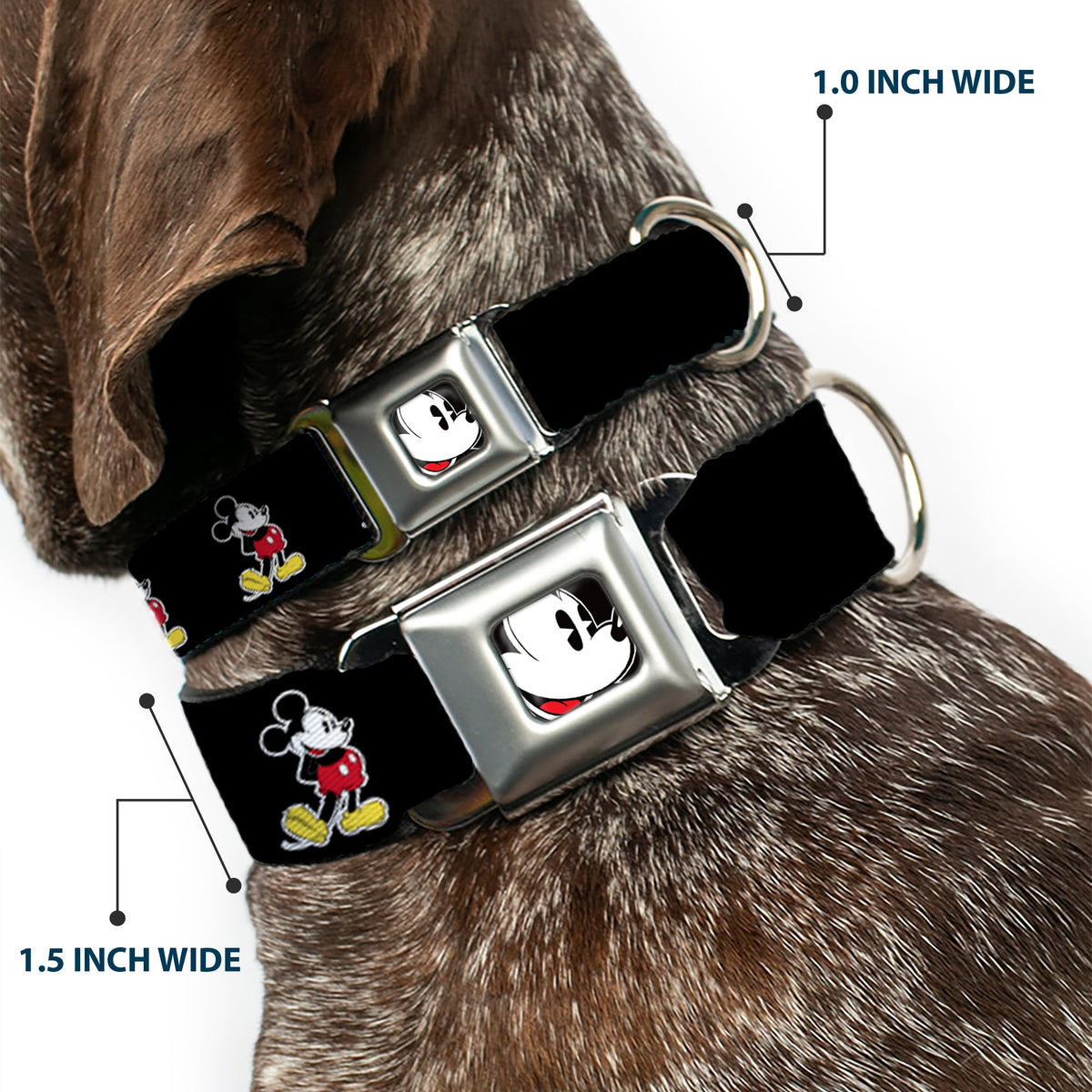 Classic Mickey Mouse Face CLOSE-UP Full Color Seatbelt Buckle Collar - Classic Mickey Mouse Pose Black