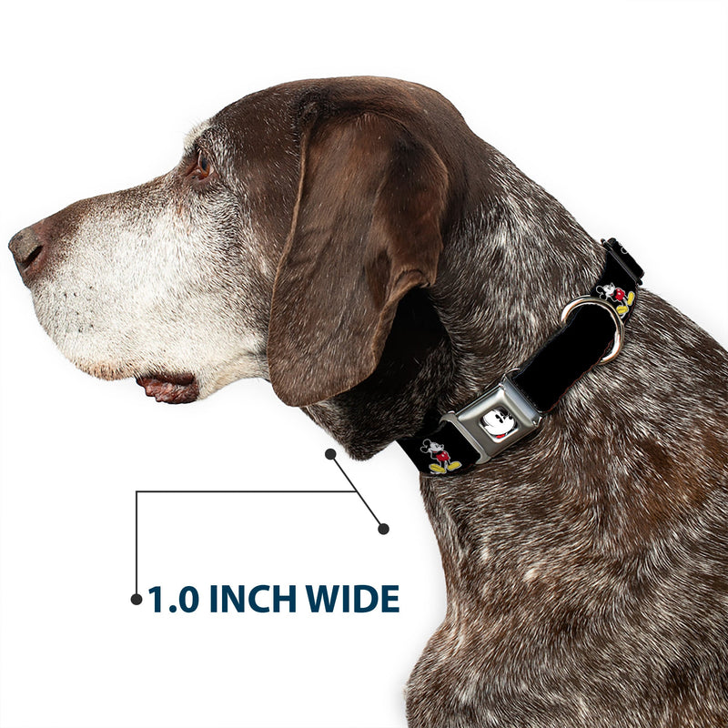 Classic Mickey Mouse Face CLOSE-UP Full Color Seatbelt Buckle Collar - Classic Mickey Mouse Pose Black