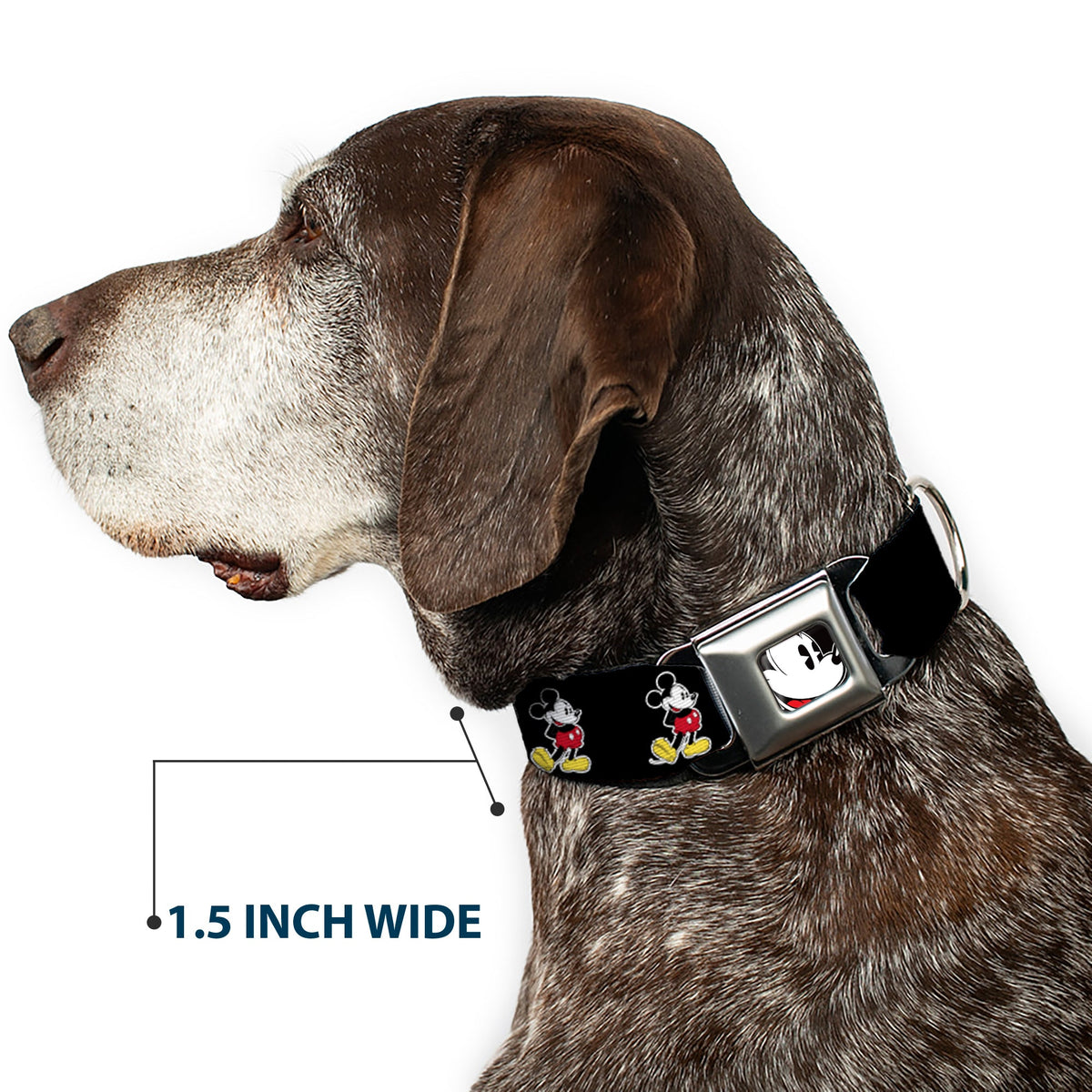 Classic Mickey Mouse Face CLOSE-UP Full Color Seatbelt Buckle Collar - Classic Mickey Mouse Pose Black