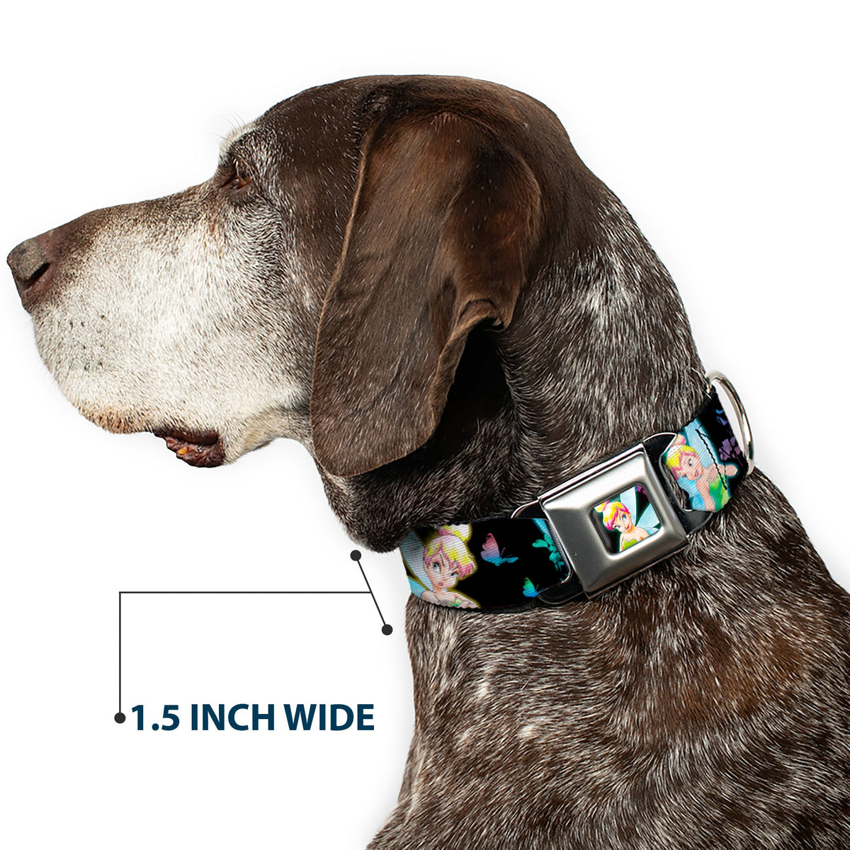 Glowing Tinker Bell Pose Full Color Seatbelt Buckle Collar - Glowing Tinker Bell Poses/Butterflies & Flowers Black/Multi Neon