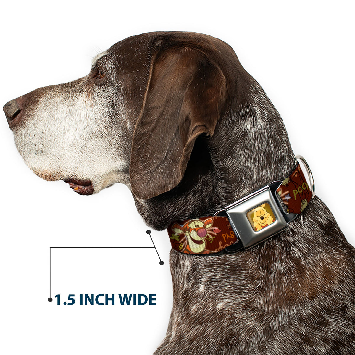 Winnie the Pooh Face Full Color Radial Brown Fade Seatbelt Buckle Collar - Winnie the Pooh Character Poses