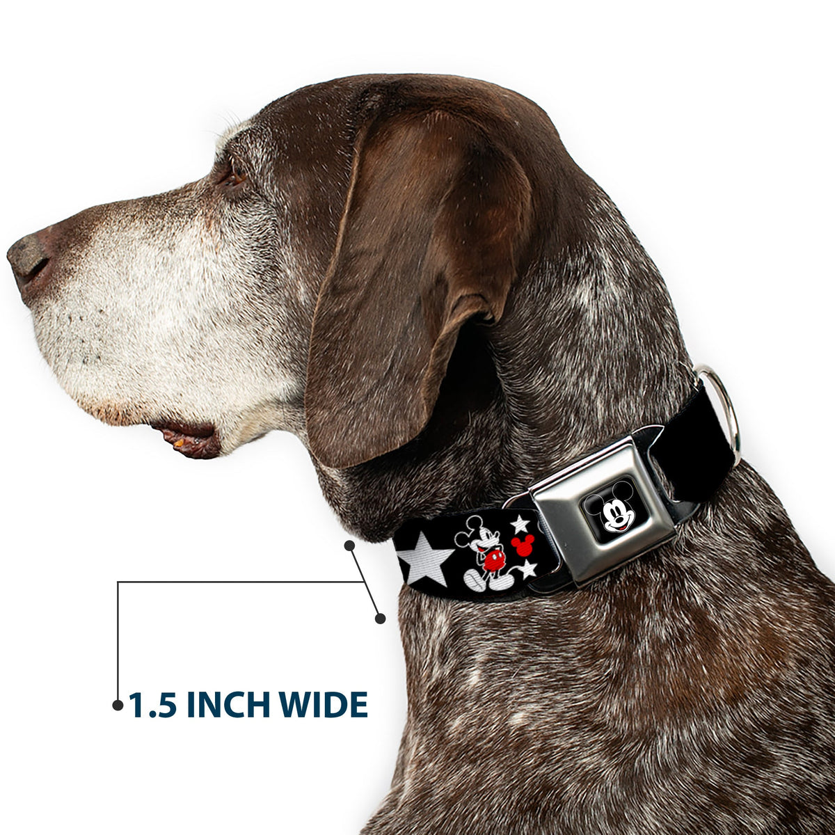Mickey Mouse Face Full Color Black Seatbelt Buckle Collar - Classic Mickey Mouse 1928 Collage Black/White/Red