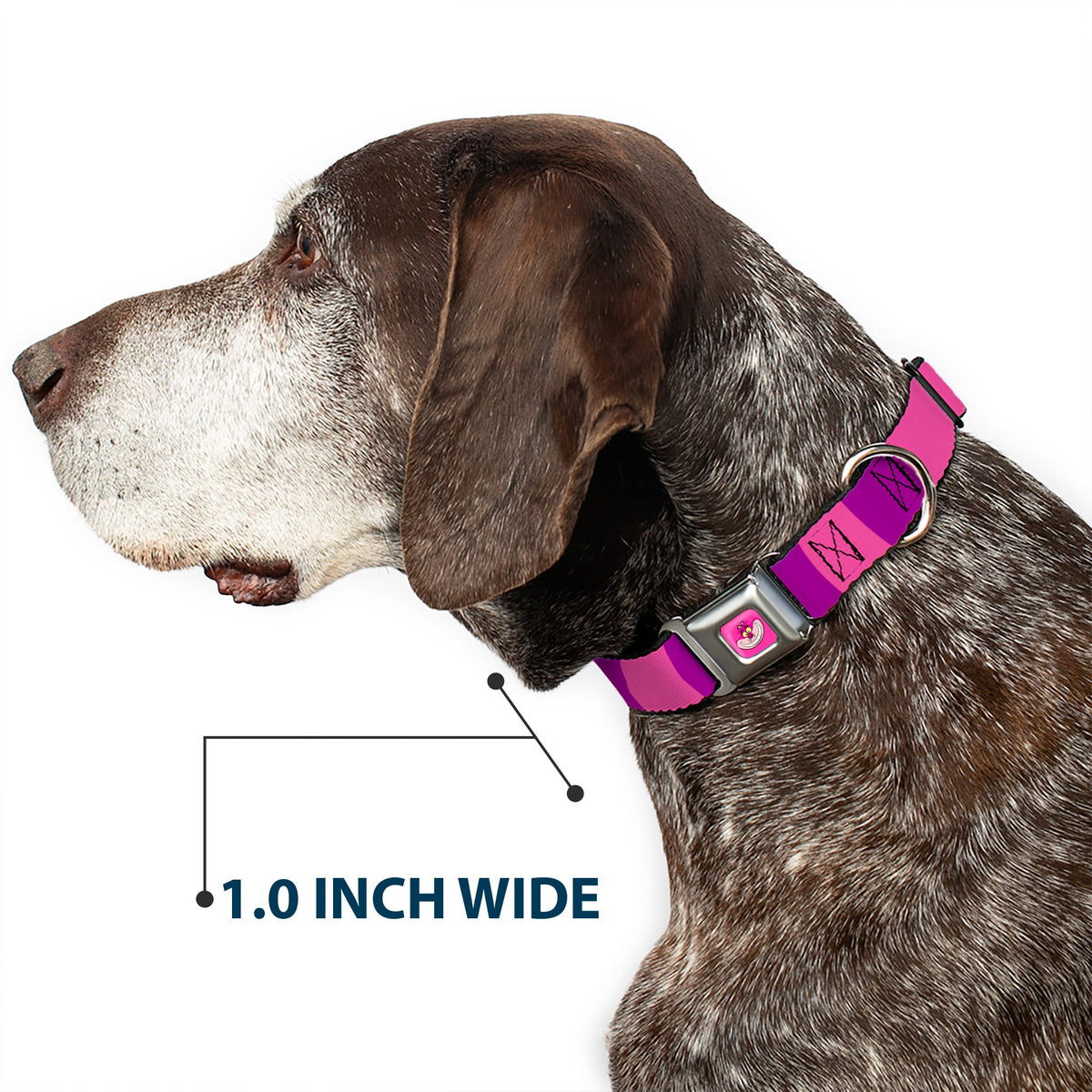 Cheshire Cat Face Full Color Pink Seatbelt Buckle Collar - Cheshire Cat Stripe Pink/Purple