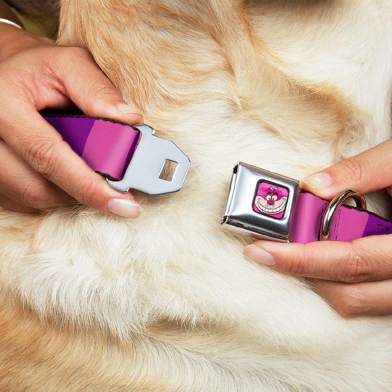Cheshire Cat Face Full Color Pink Seatbelt Buckle Collar - Cheshire Cat Stripe Pink/Purple