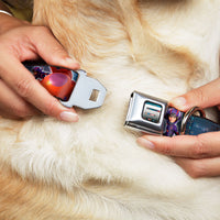 Big Hero "6" Name Blocks Full Color Black Gray White Seatbelt Buckle Collar - Hiro & Baymax Action Poses/San Fransokyo