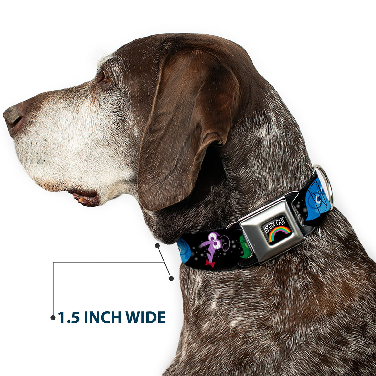 INSIDE OUT Rainbow Full Color Black/White/Multi Color Seatbelt Buckle Collar - INSIDE OUT/Emotion Expressions/EVERY DAY IS FULL OF EMOTIONS