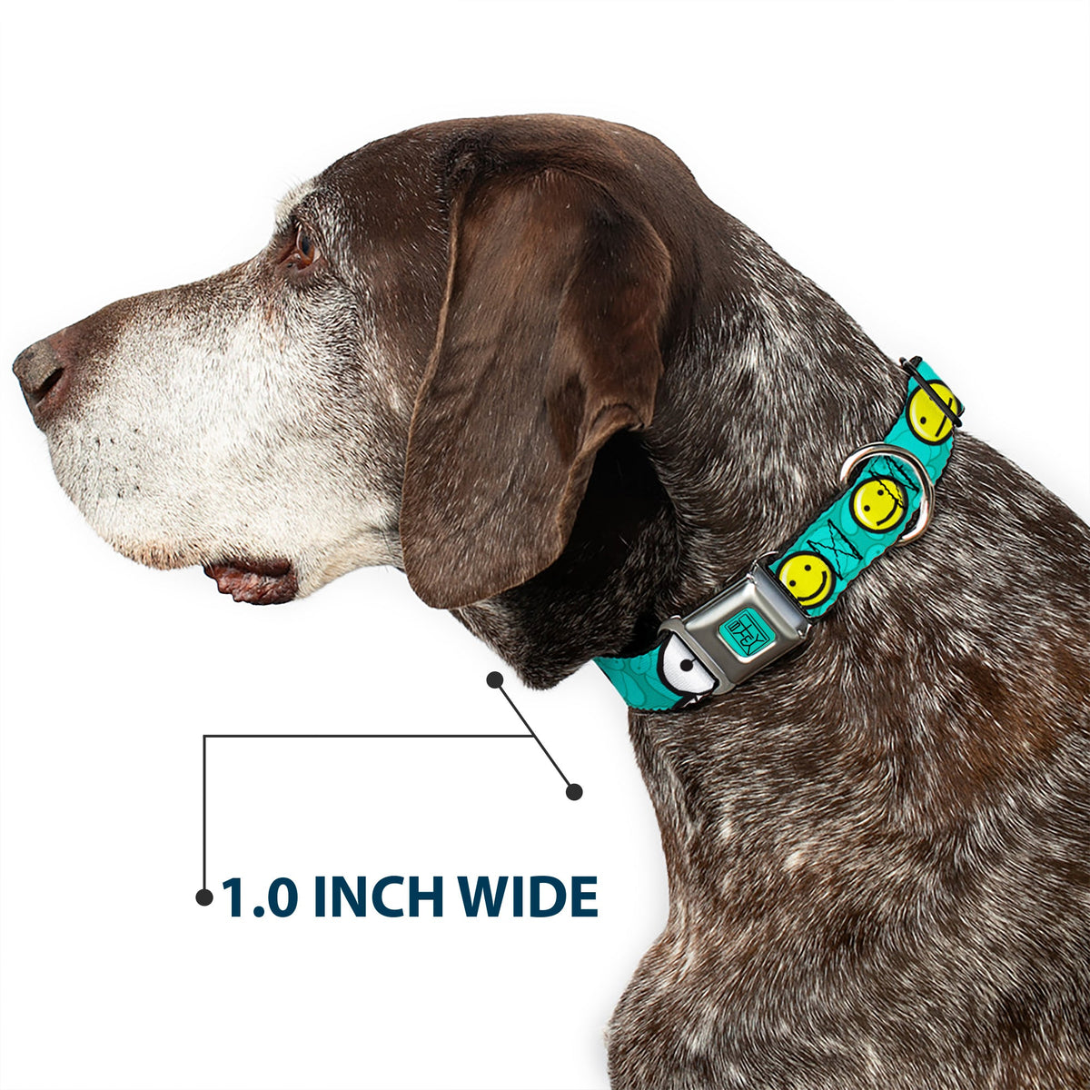 BAYMAX Hanko Full Color Turquoise Black Seatbelt Buckle Collar - Baymax/Mood Expressions/Baymax Scattered Turquoise