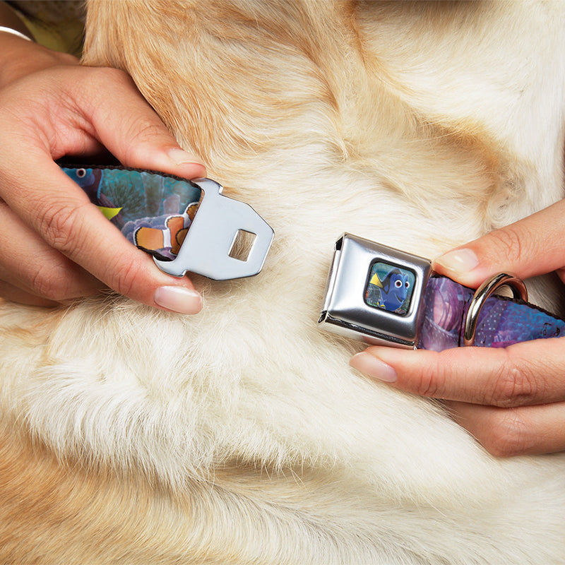 Dory Pose Seatbelt Buckle Collar - Dory & 5-Friends Under the Sea