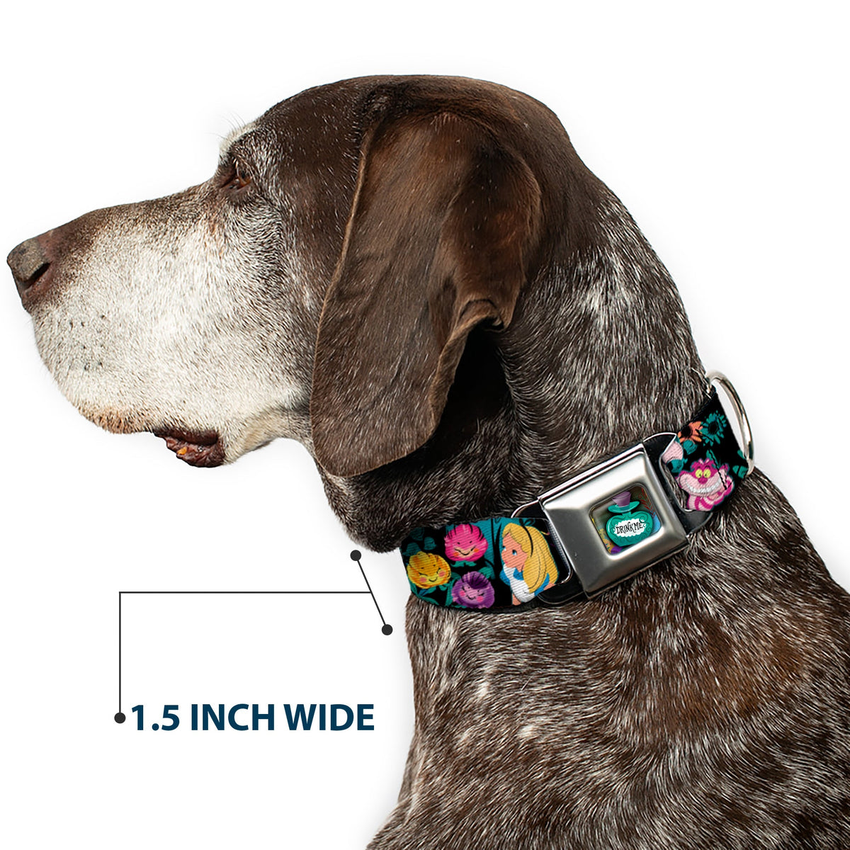 Alice in Wonderland DRINK ME Bottle Full Color Seatbelt Buckle Collar - Alice/Cheshire Cat/Flowers Poses Black/Multi Color