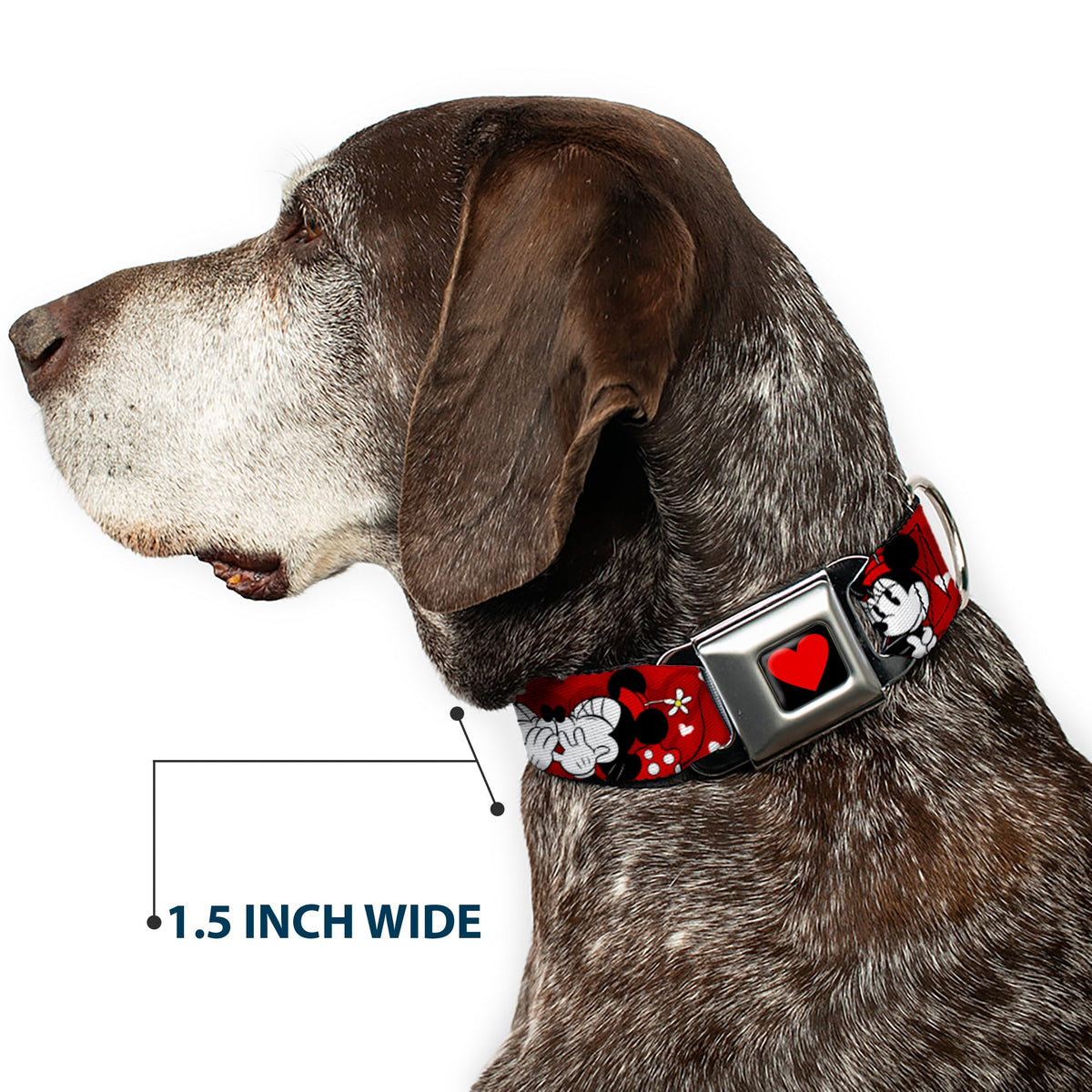 Heart Full Color Black/Red Seatbelt Buckle Collar - Mickey & Minnie HUGS & KISSES Poses Reds/White