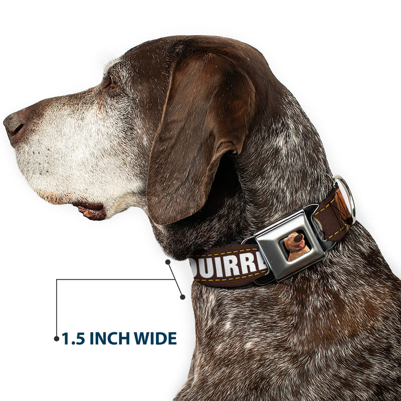 Dug Tongue Out Pose Full Color Black Seatbelt Buckle Collar - Dug 3-Poses/SQUIRREL! Brown/Yellow/White