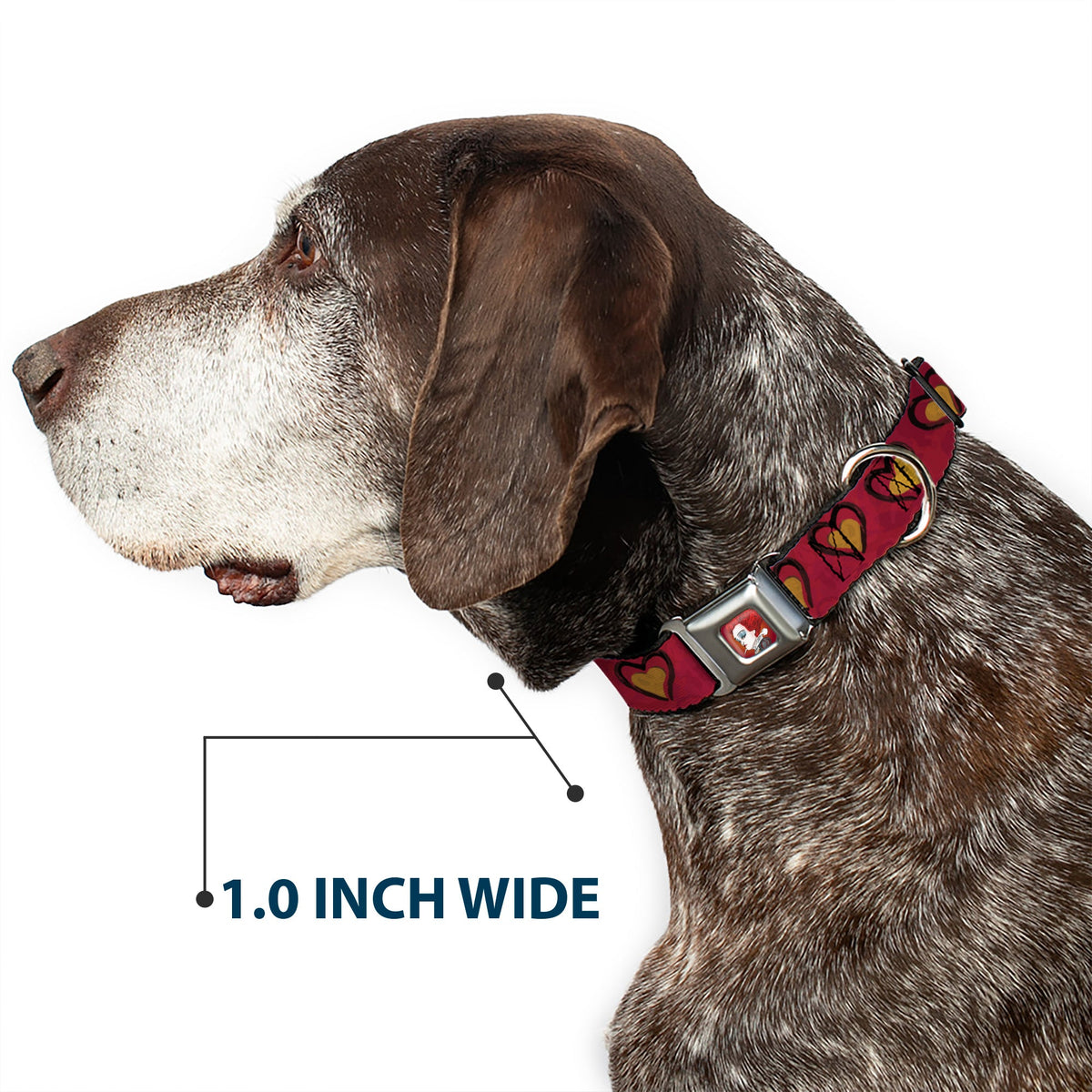 Alice in Wonderland Queen Face Full Color Red Seatbelt Buckle Collar - Alice in Wonderland Queen's Hearts Reds/Black/Gold