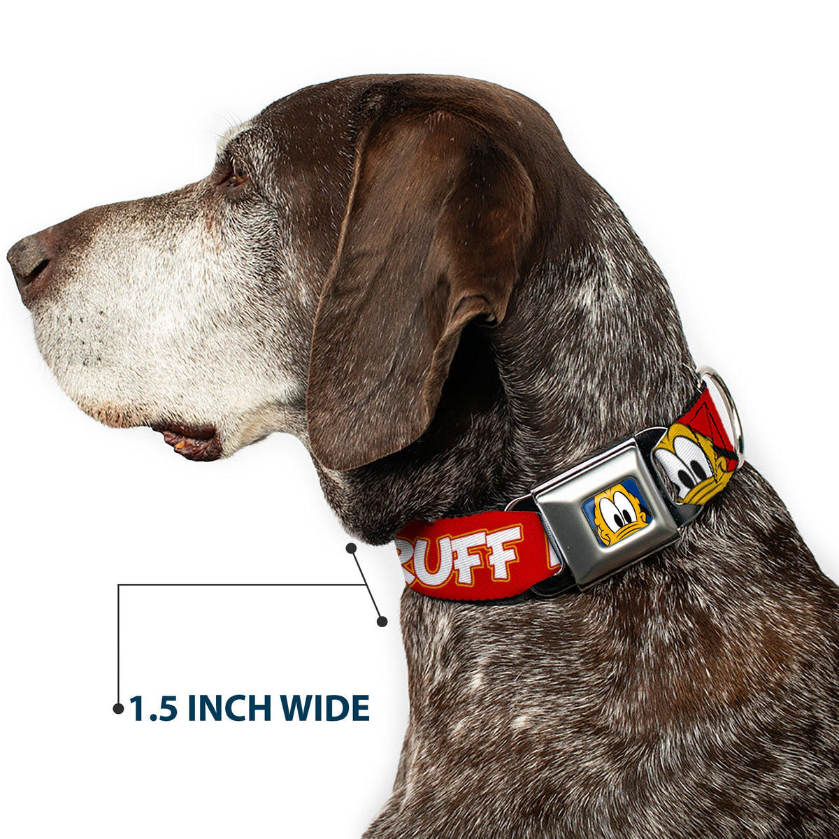 Pluto Face CLOSE-UP Full Color Blue Seatbelt Buckle Collar - Pluto 2-Pose IT'S A RUFF LIFE Red/Yellow/White