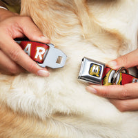 Pluto Face CLOSE-UP Full Color Blue Seatbelt Buckle Collar - Pluto 2-Pose IT'S A RUFF LIFE Red/Yellow/White