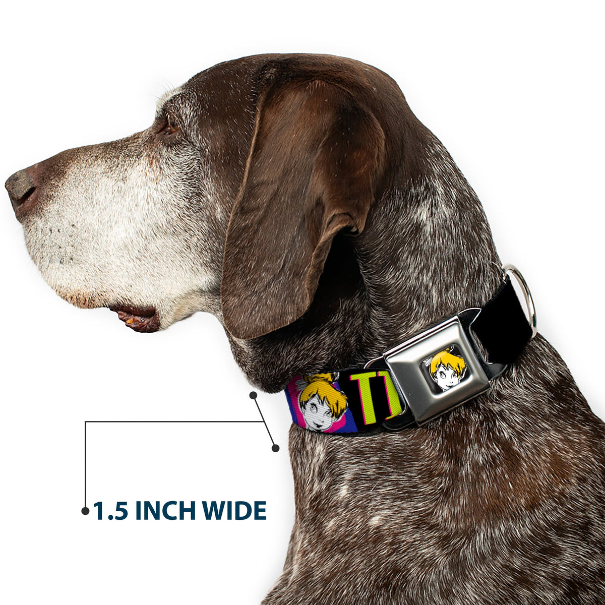 Tink Luxe Full Color Black White Seatbelt Buckle Collar - TINK LUXE Sketch Black/Multi Neon