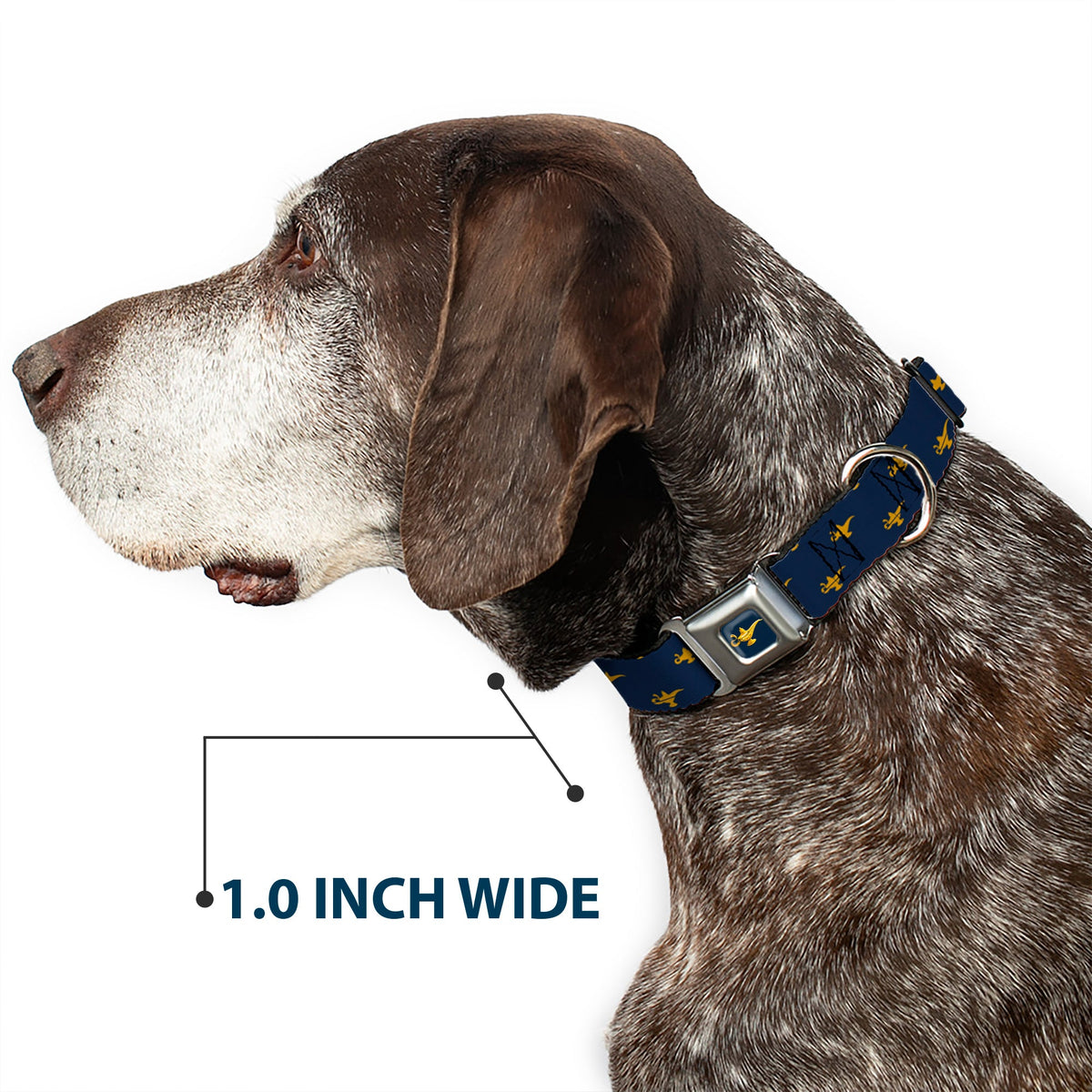 Aladdin 2019 Magic Lamp Full Color Navy/Golds Seatbelt Buckle Collar - Aladdin Genie Lamp Monogram Navy/Gold (Copy)