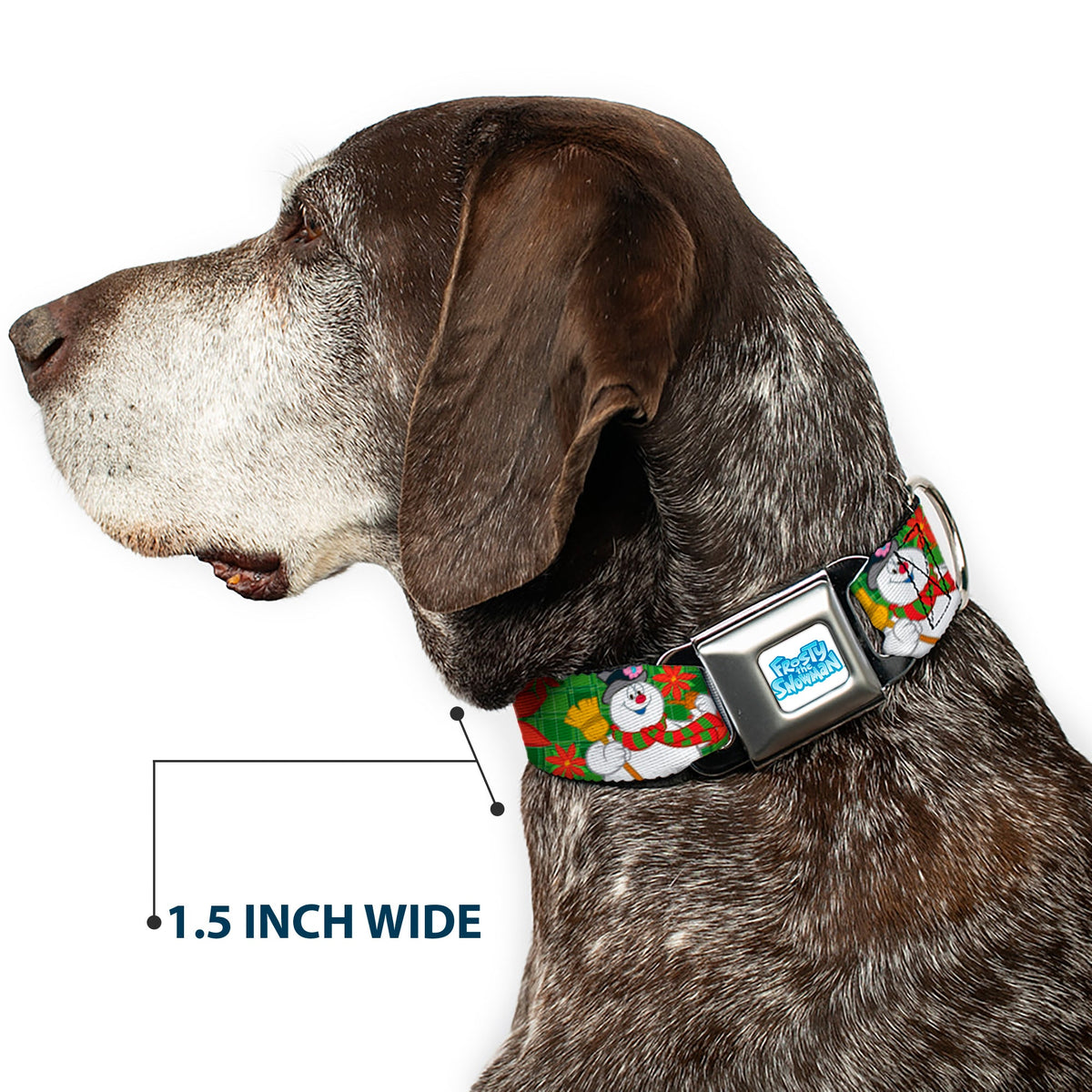 FROSTY THE SNOWMAN Logo Full Color White/Blues Seatbelt Buckle Collar - Frosty the Snowman Pose Poinsetta Plaid Collage Greens/Reds