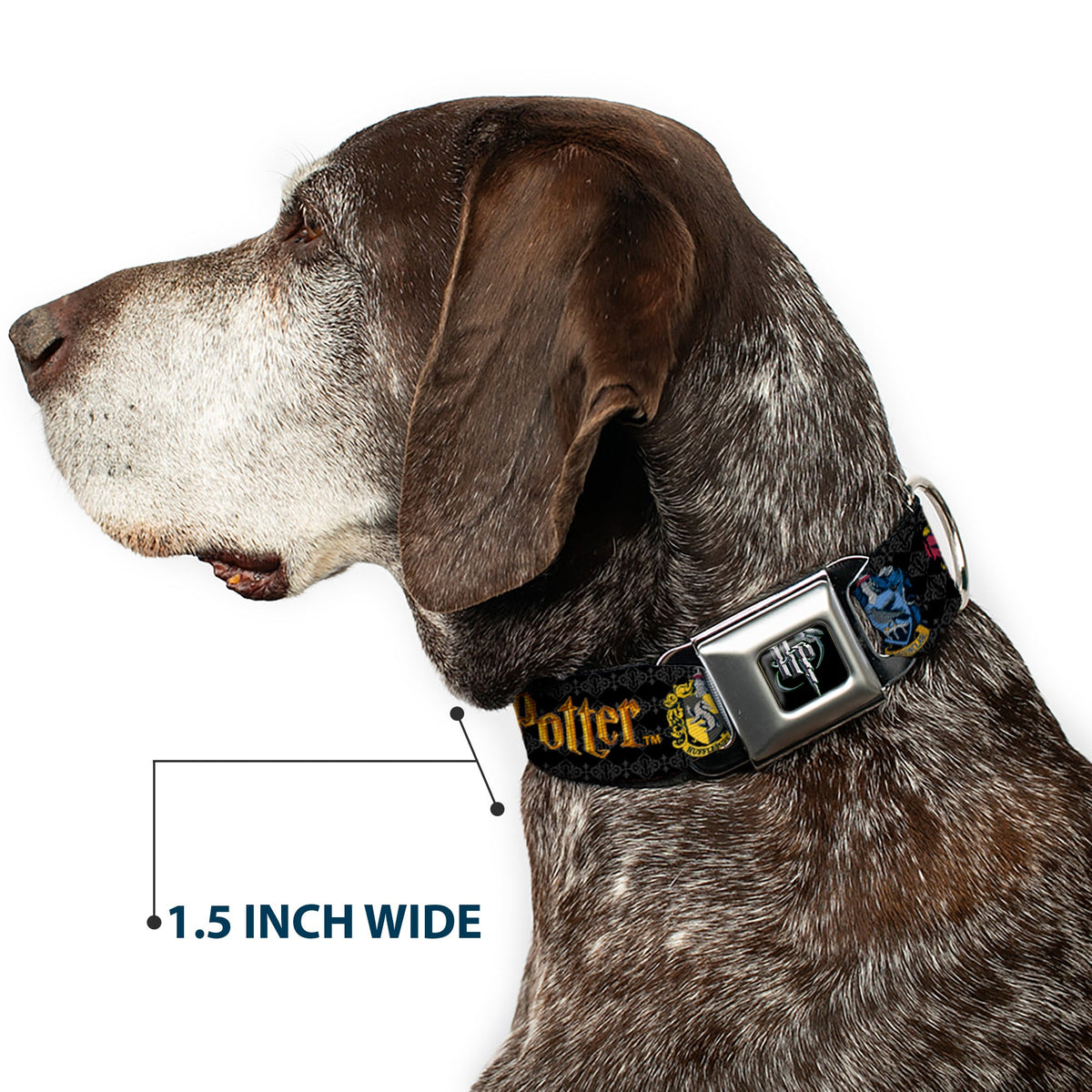 Harry Potter Logo Full Color Black/White Seatbelt Buckle Collar - HARRY POTTER Hufflepuff/Ravenclaw/Gryffindor/Slytherin Coat of Arms Black