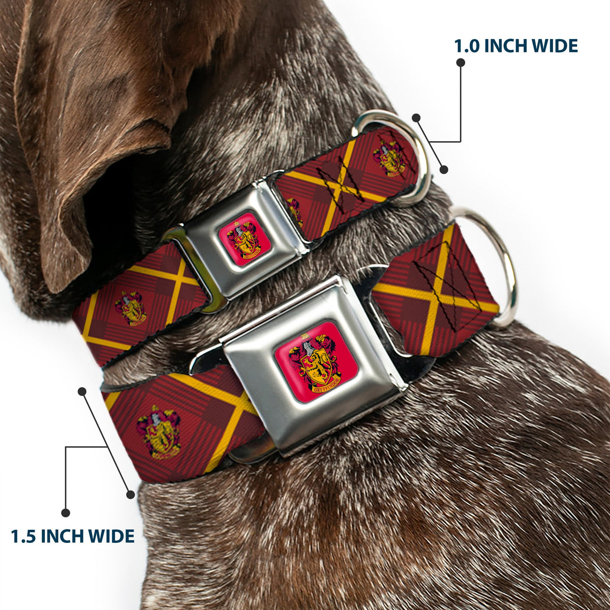 Gryffindor Crest Full Color Red Seatbelt Buckle Collar - Harry Potter Gryffindor Crest Plaid Reds/Gold