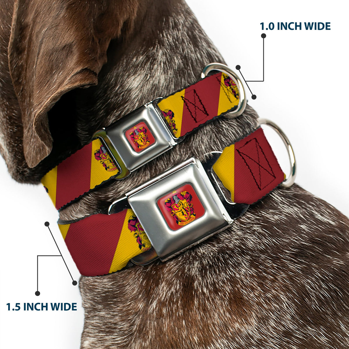GRYFFINDOR Crest Full Color Red Seatbelt Buckle Collar - GRYFFINDOR Crest Diagonal Stripe Gold/Red