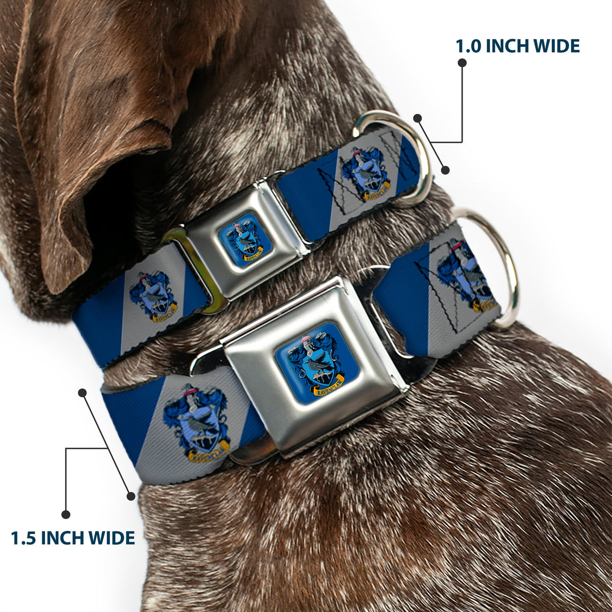 RAVENCLAW Crest Full Color Blue Seatbelt Buckle Collar - RAVENCLAW Crest Diagonal Stripe Gray/Blue